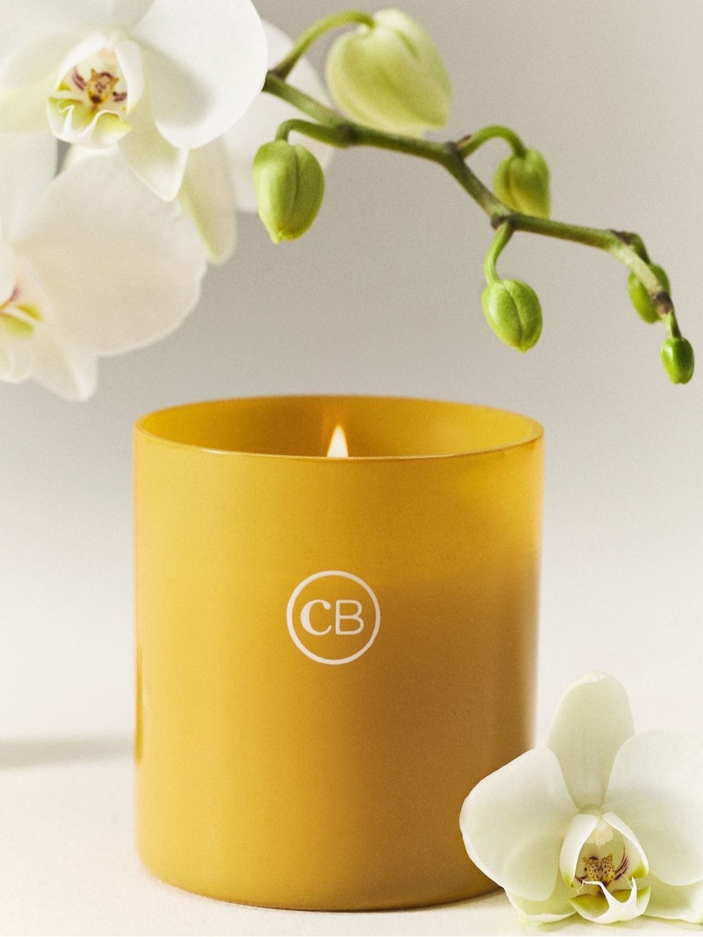Anthropologie Capri Blue Floral Aloha Orchid Nautical Boxed Glass Candle
